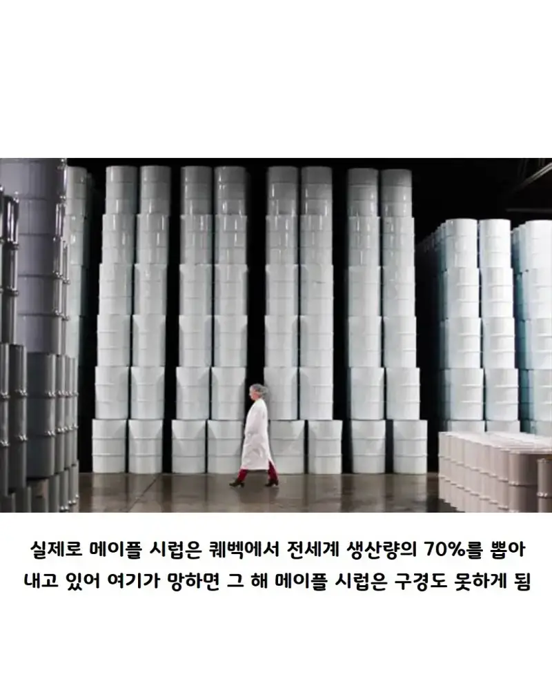 캐나다의 중요한 전략 물자의 내용을 보여주는 이미지 관련 이미지 4
