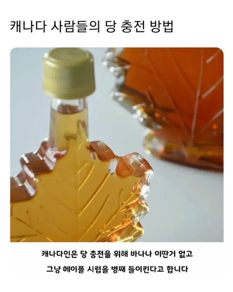 캐나다의 중요한 전략 물자의 내용을 보여주는 이미지 관련 이미지 5