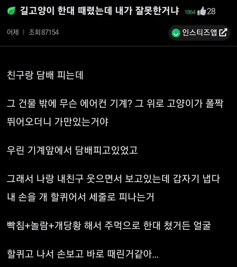 길냥이 선빵친거 주먹으로 때려도됨?의 내용을 보여주는 이미지
