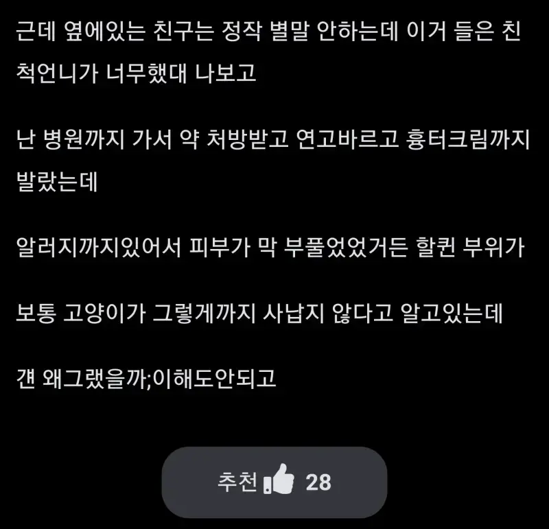길냥이 선빵친거 주먹으로 때려도됨?의 내용을 보여주는 이미지 관련 이미지 2
