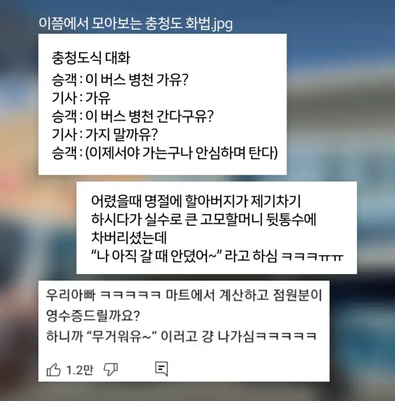 사실 치열한 밈 배틀이라는 충청도 사투리의 내용을 보여주는 이미지 관련 이미지 3