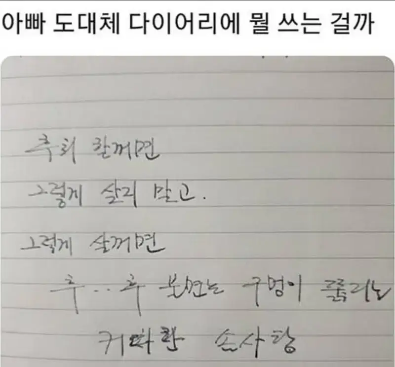 아빠의 다이어리를 훔쳐보았다의 내용을 보여주는 이미지