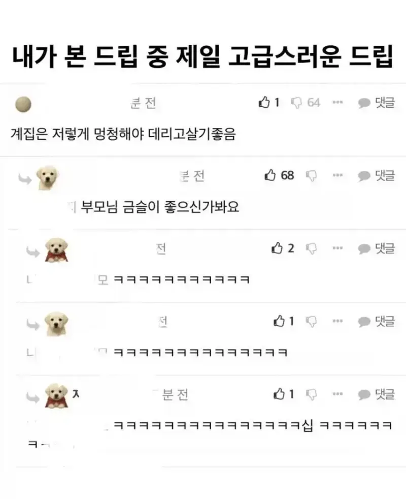 타 사이트 수출까지 된 펨코 산 고급스러운 드립의 내용을 보여주는 이미지