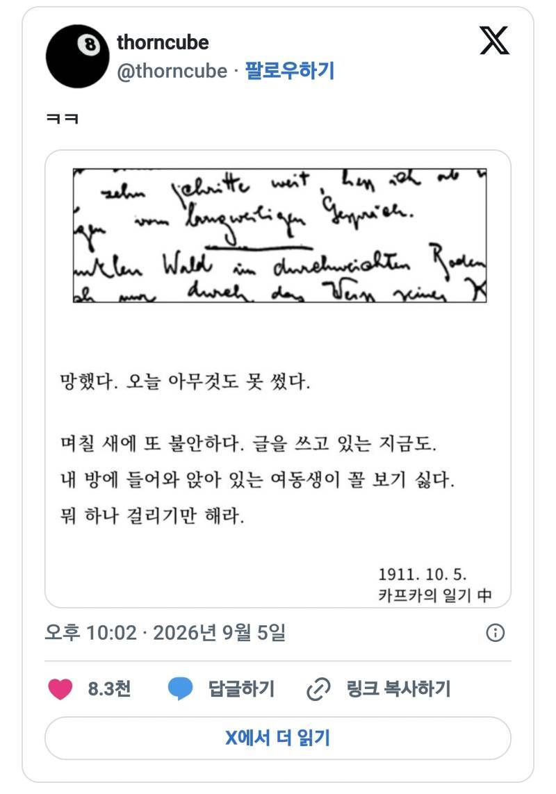 소설가 프란츠카프카도 여동생에겐 현실오빠였다의 내용을 보여주는 이미지