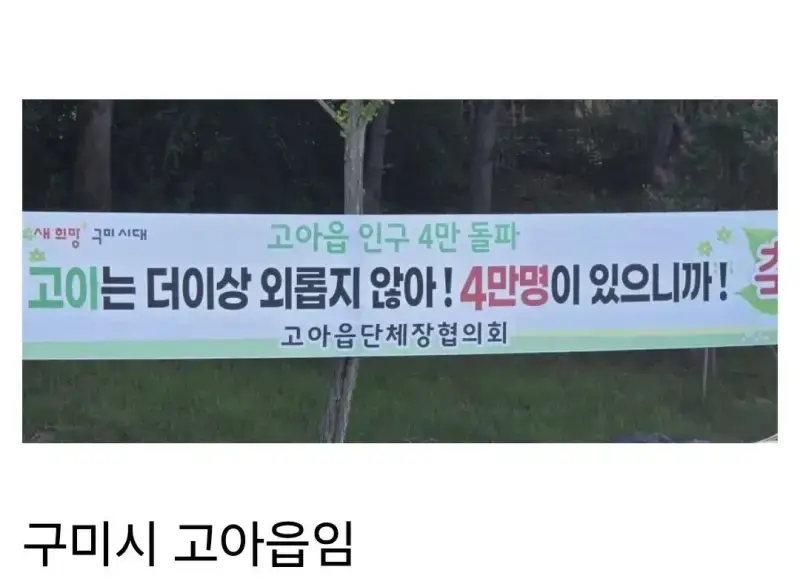 한국 고아 인구 4만명 돌파...더이상 외롭지 않아의 내용을 보여주는 이미지