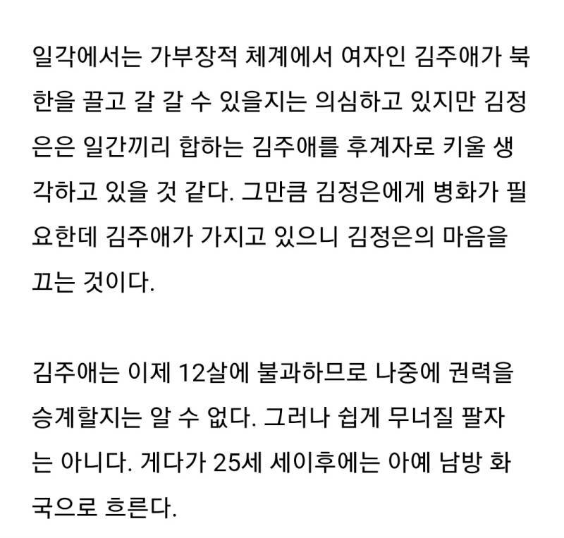 사주 블로거가 분석한 김주애 사주 (+한국)의 내용을 보여주는 이미지 관련 이미지 3