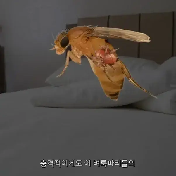 41pyAJGqROCiEEms6AEgEY.webp