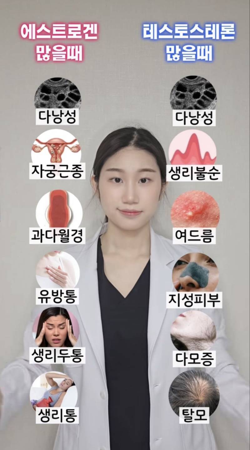 진짜 일리있는 에겐녀 테토녀 구분의 내용을 보여주는 이미지