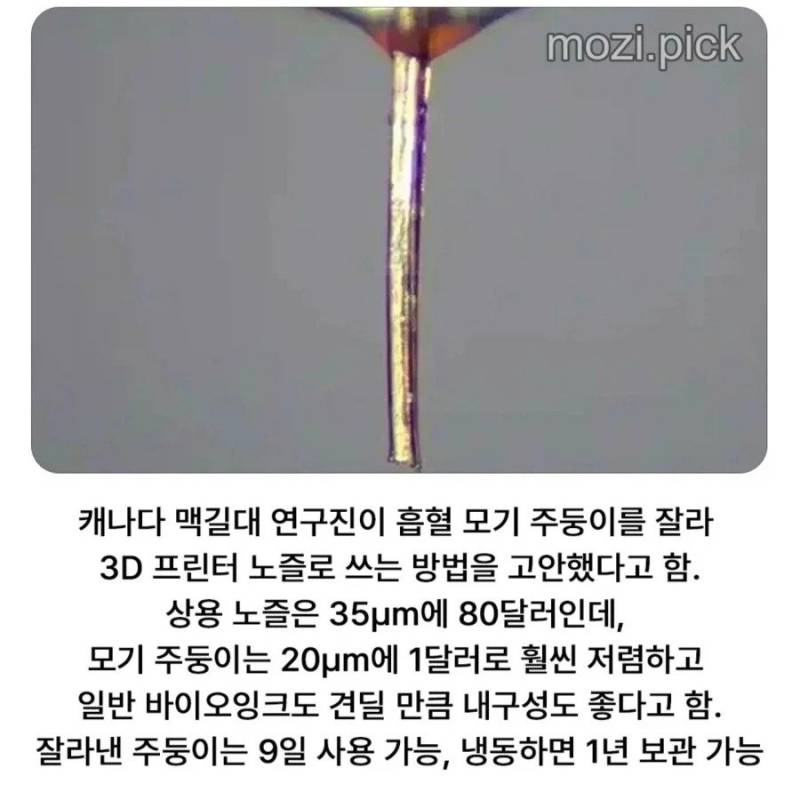 드디어 쓸모가 있어진 그새X의 내용을 보여주는 이미지