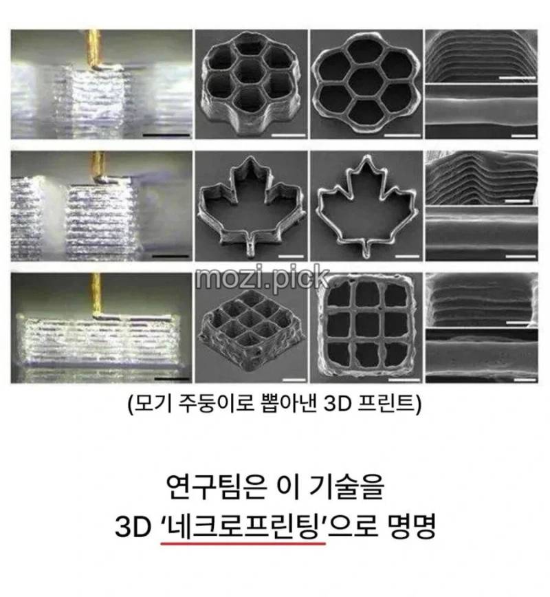 드디어 쓸모가 있어진 그새X의 내용을 보여주는 이미지 관련 이미지 2