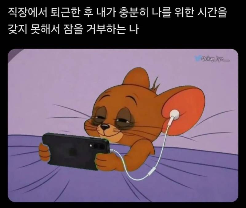 피곤한데 안 자는 이유의 내용을 보여주는 이미지