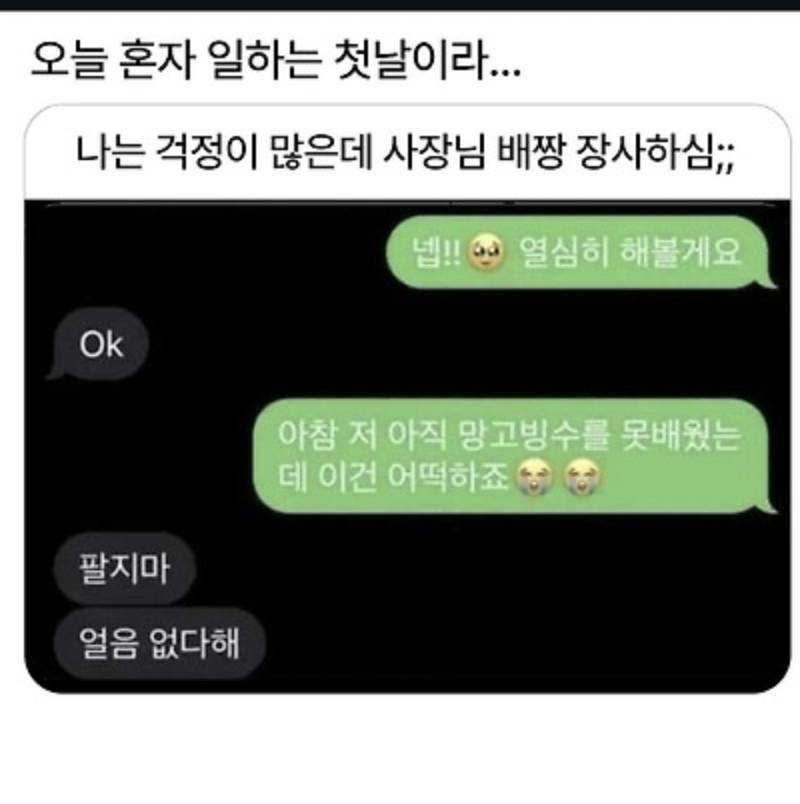오늘 혼자 일하는 첫날이라...의 내용을 보여주는 이미지