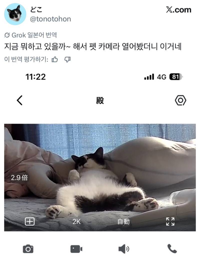 얼마나 편한건지 감도 안옴의 내용을 보여주는 이미지