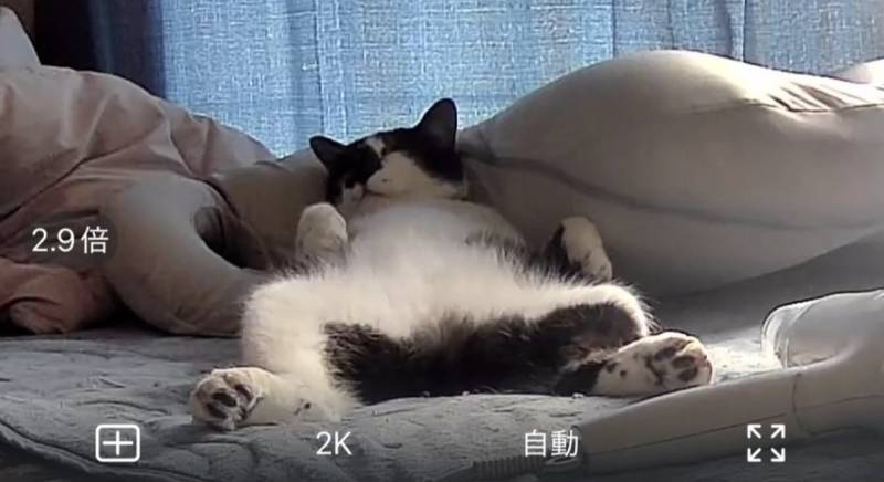 얼마나 편한건지 감도 안옴의 내용을 보여주는 이미지 관련 이미지 2