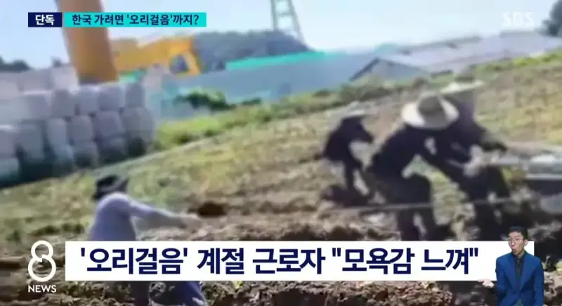 Screenshot_20260908_074741_NAVER.jpg