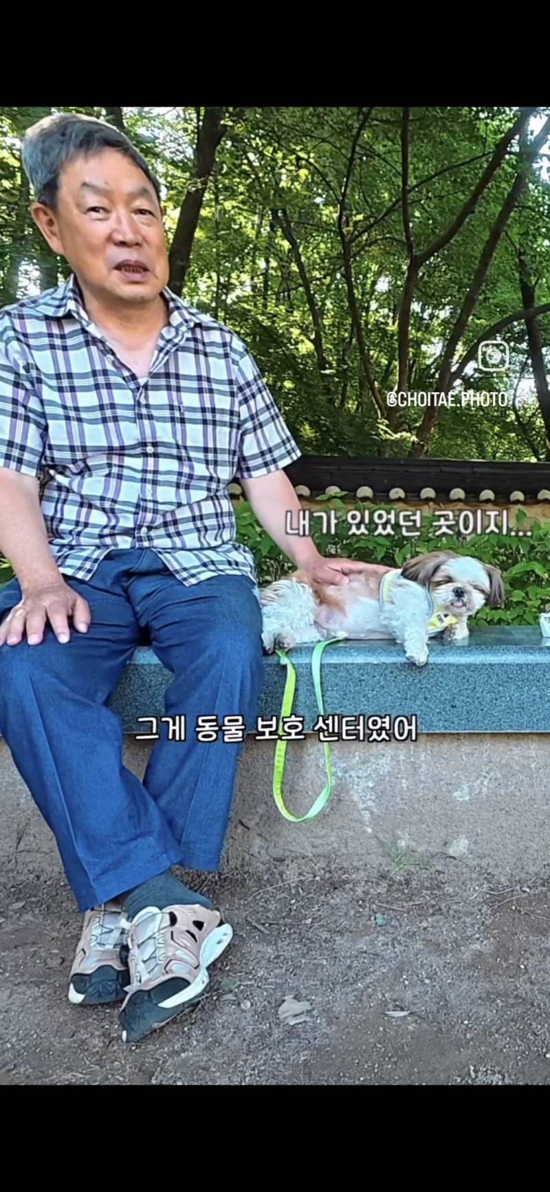 이름이... 이게... 인자...그... 유기견...!의 내용을 보여주는 이미지 관련 이미지 12