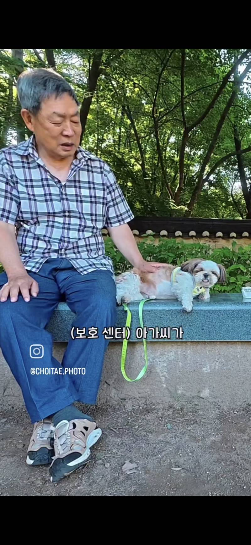 이름이... 이게... 인자...그... 유기견...!의 내용을 보여주는 이미지 관련 이미지 15