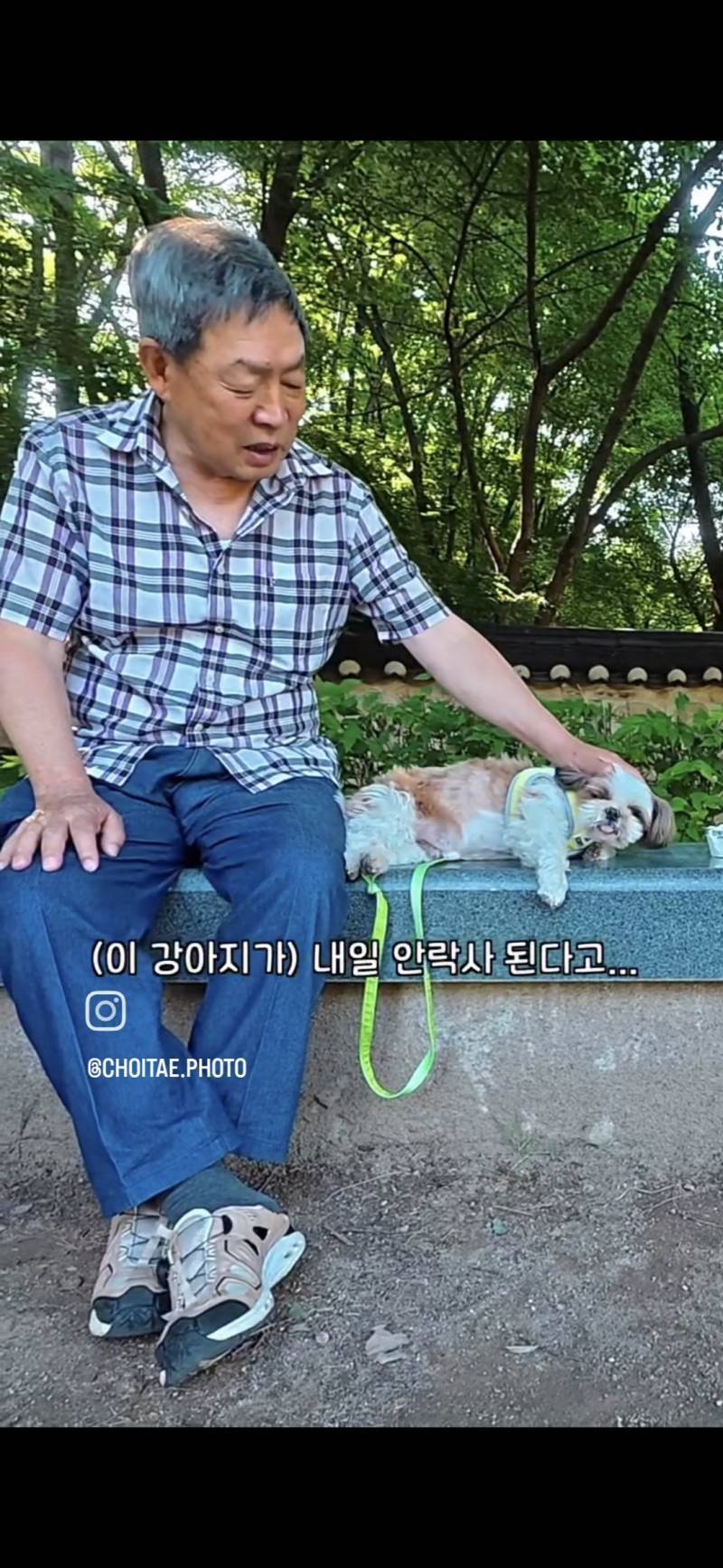 이름이... 이게... 인자...그... 유기견...!의 내용을 보여주는 이미지 관련 이미지 16