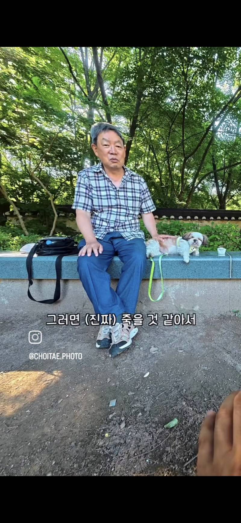 이름이... 이게... 인자...그... 유기견...!의 내용을 보여주는 이미지 관련 이미지 17