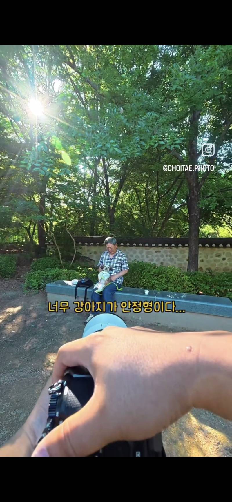 이름이... 이게... 인자...그... 유기견...!의 내용을 보여주는 이미지 관련 이미지 2