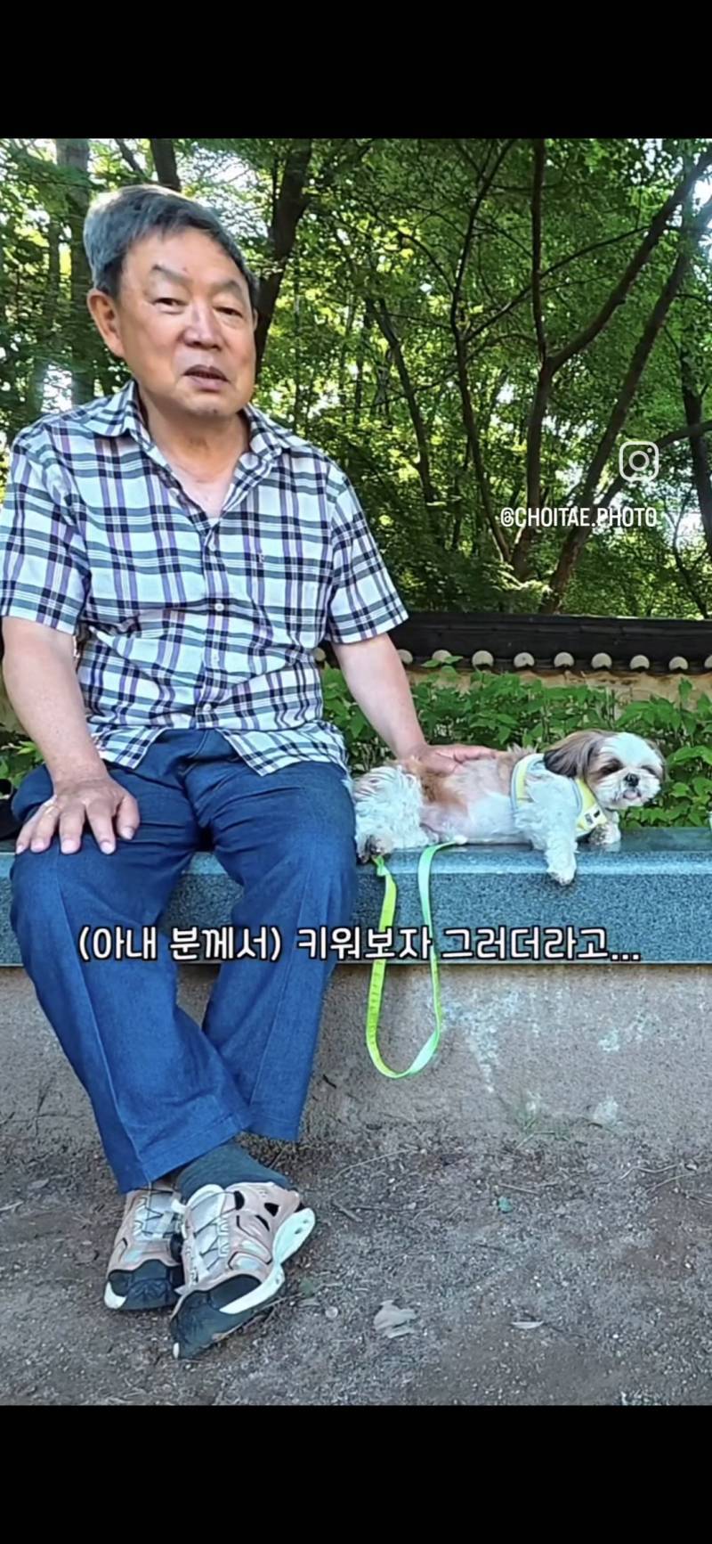 이름이... 이게... 인자...그... 유기견...!의 내용을 보여주는 이미지 관련 이미지 20