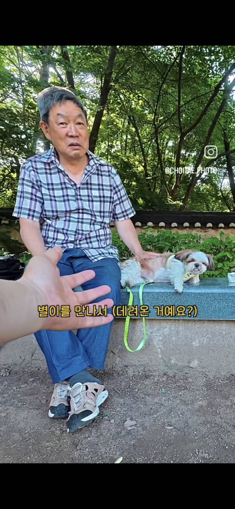 이름이... 이게... 인자...그... 유기견...!의 내용을 보여주는 이미지 관련 이미지 23