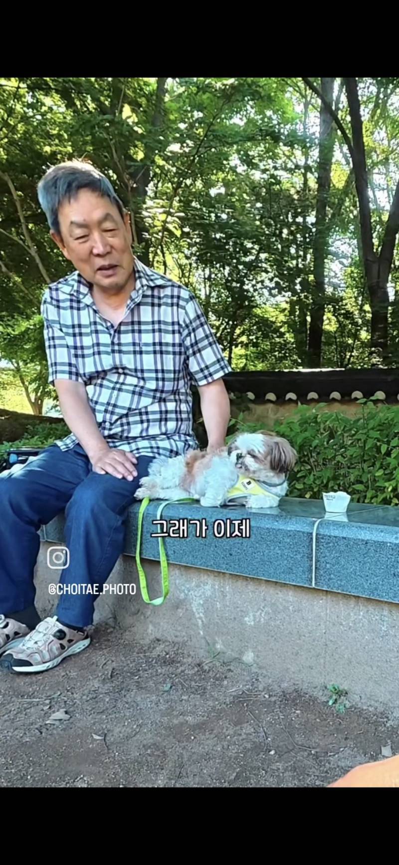 이름이... 이게... 인자...그... 유기견...!의 내용을 보여주는 이미지 관련 이미지 24