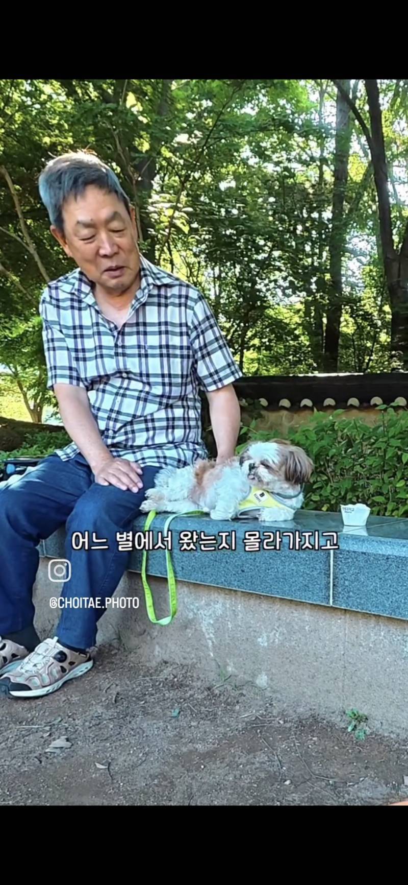 이름이... 이게... 인자...그... 유기견...!의 내용을 보여주는 이미지 관련 이미지 25