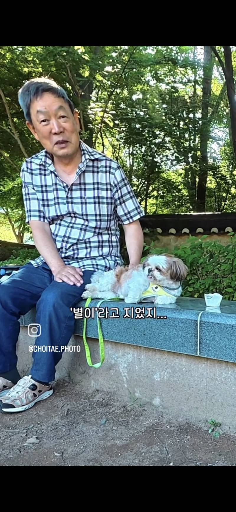 이름이... 이게... 인자...그... 유기견...!의 내용을 보여주는 이미지 관련 이미지 26
