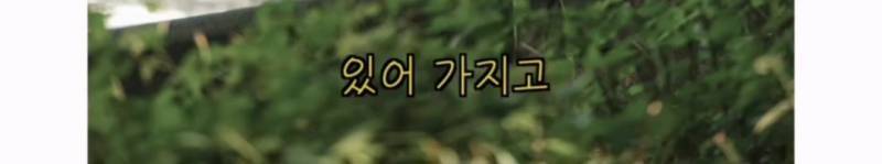 이름이... 이게... 인자...그... 유기견...!의 내용을 보여주는 이미지 관련 이미지 30
