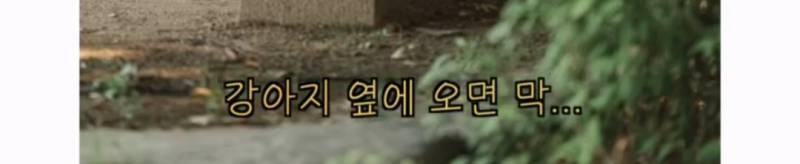 이름이... 이게... 인자...그... 유기견...!의 내용을 보여주는 이미지 관련 이미지 31