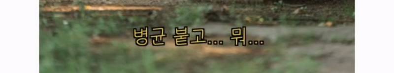 이름이... 이게... 인자...그... 유기견...!의 내용을 보여주는 이미지 관련 이미지 32