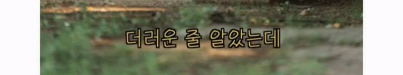 이름이... 이게... 인자...그... 유기견...!의 내용을 보여주는 이미지 관련 이미지 33