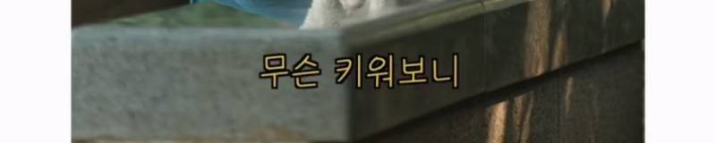 이름이... 이게... 인자...그... 유기견...!의 내용을 보여주는 이미지 관련 이미지 34