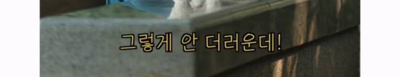 이름이... 이게... 인자...그... 유기견...!의 내용을 보여주는 이미지 관련 이미지 35