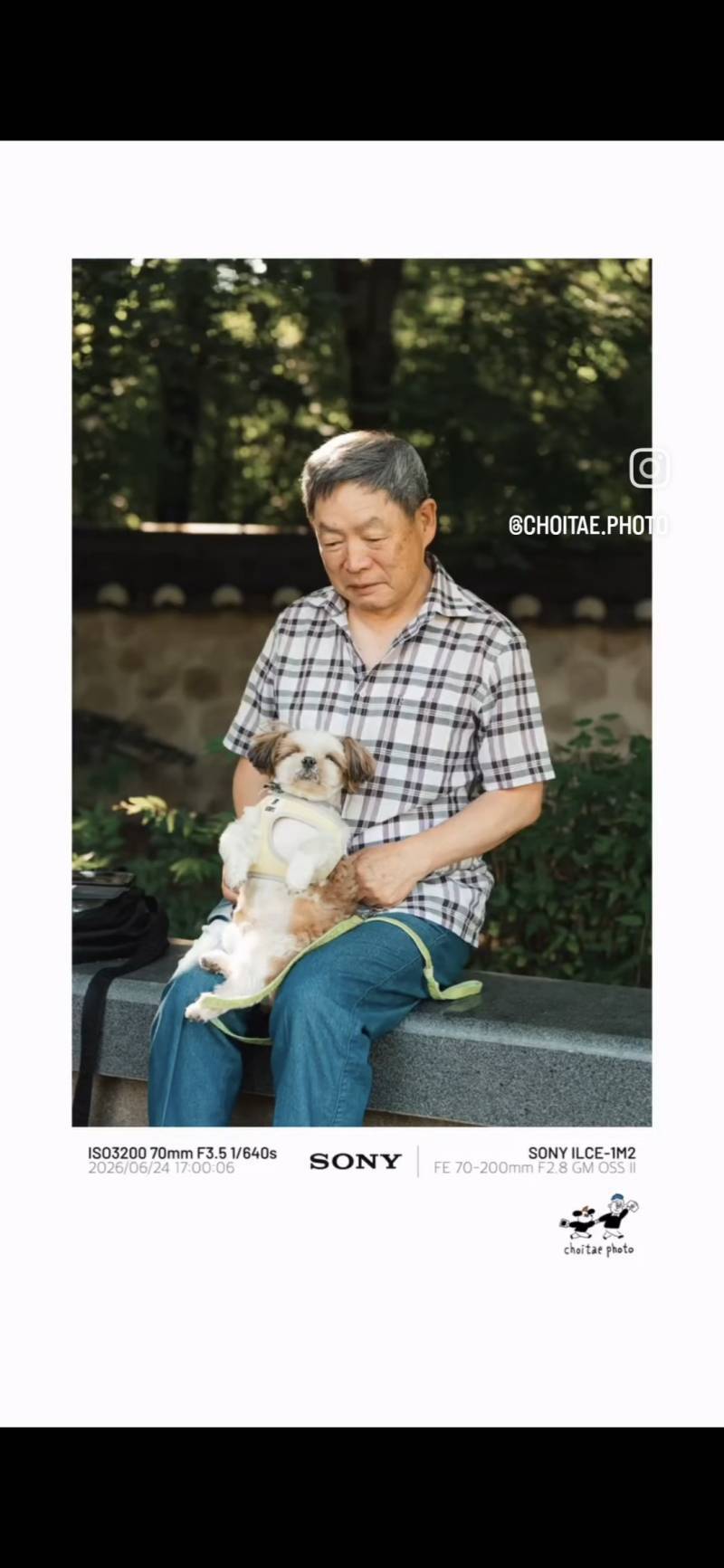 이름이... 이게... 인자...그... 유기견...!의 내용을 보여주는 이미지 관련 이미지 4