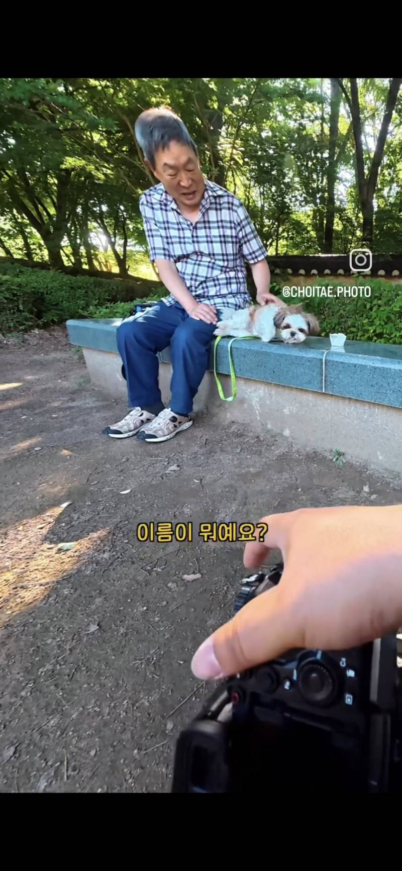이름이... 이게... 인자...그... 유기견...!의 내용을 보여주는 이미지 관련 이미지 5