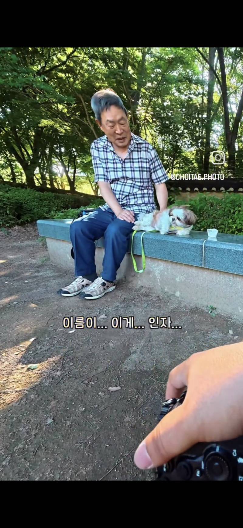 이름이... 이게... 인자...그... 유기견...!의 내용을 보여주는 이미지 관련 이미지 6