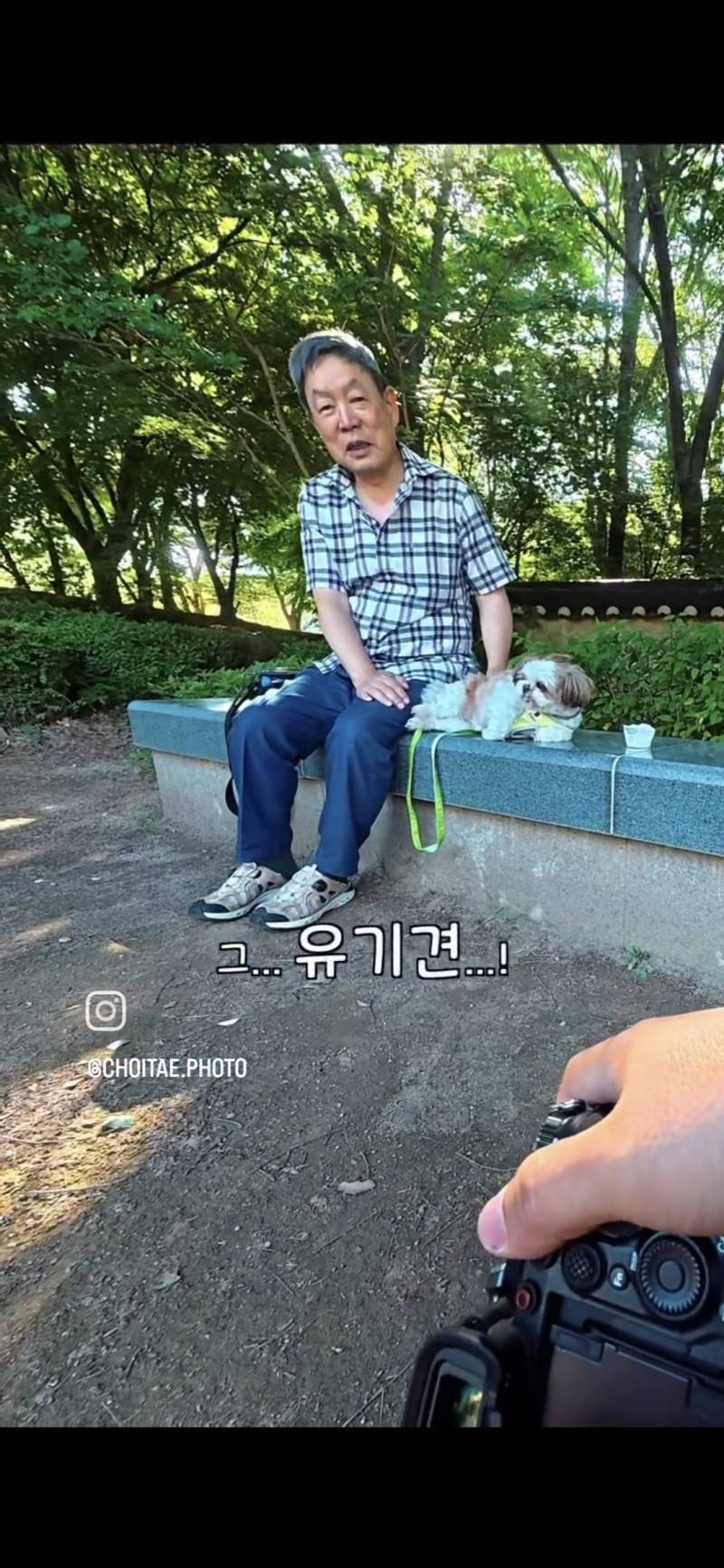 이름이... 이게... 인자...그... 유기견...!의 내용을 보여주는 이미지 관련 이미지 7