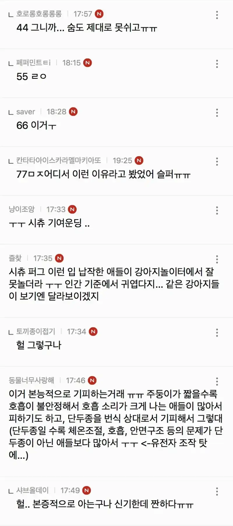 코 납작한 강쥐는 강아지들 사이에서 진짜 왕따의 내용을 보여주는 이미지 관련 이미지 3