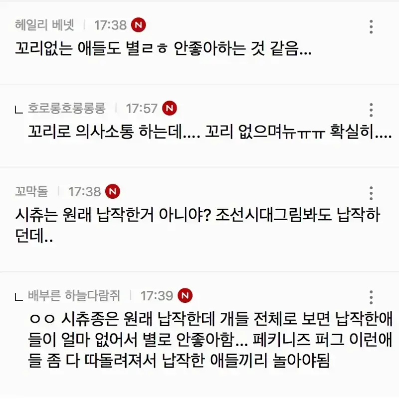 코 납작한 강쥐는 강아지들 사이에서 진짜 왕따의 내용을 보여주는 이미지 관련 이미지 4