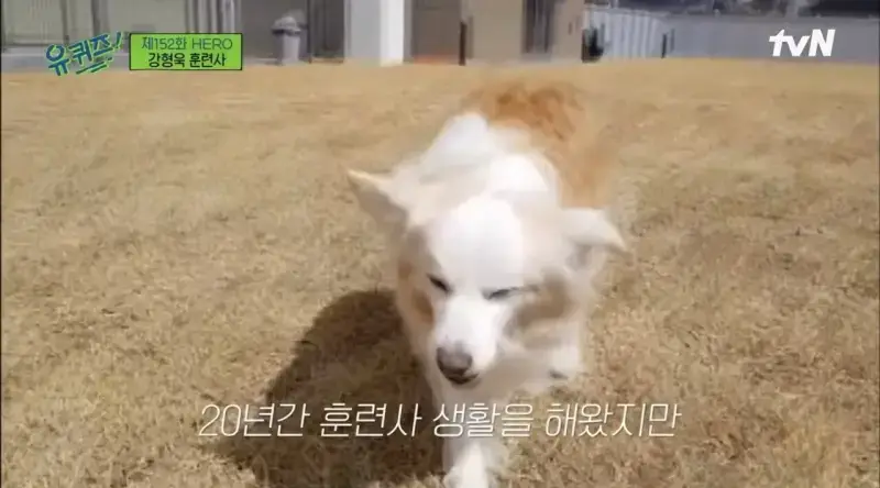 pic_021.jpg [유퀴즈] 강형욱도 해결해줄수 없다는 보호자들의 질문.JPG