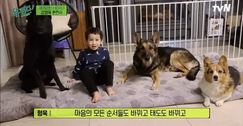 pic_006.jpg [유퀴즈] 강형욱도 해결해줄수 없다는 보호자들의 질문.JPG