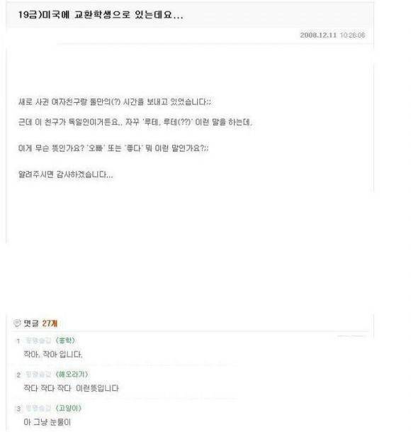 독일인 여친이 자꾸 루테 루테 하는데의 내용을 보여주는 이미지