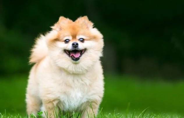 20260624121120_dhdDEG3cgJ.png