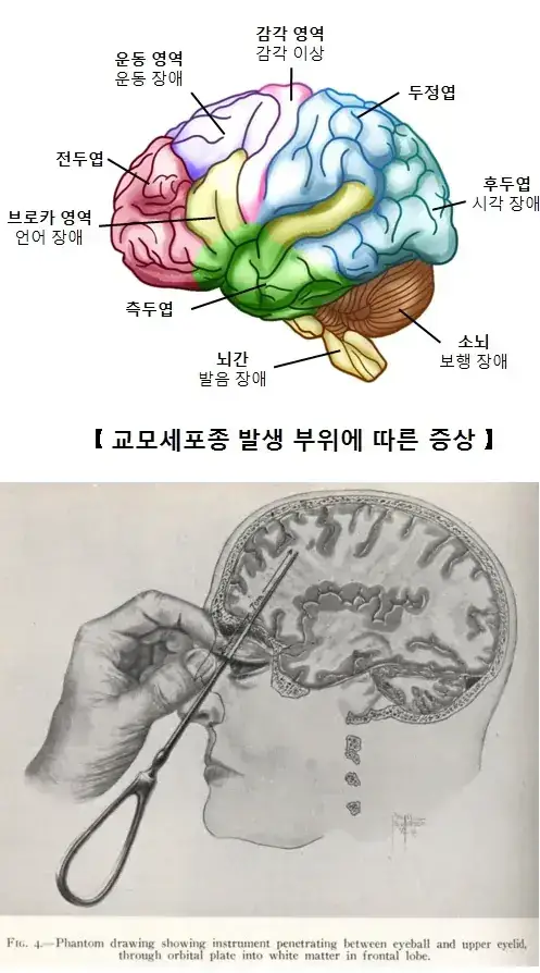 1789092226752370.webp