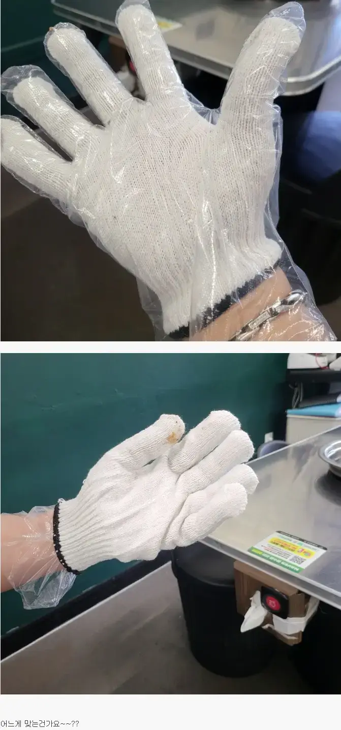 쪽갈비 집에서 장갑 논쟁의 내용을 보여주는 이미지
