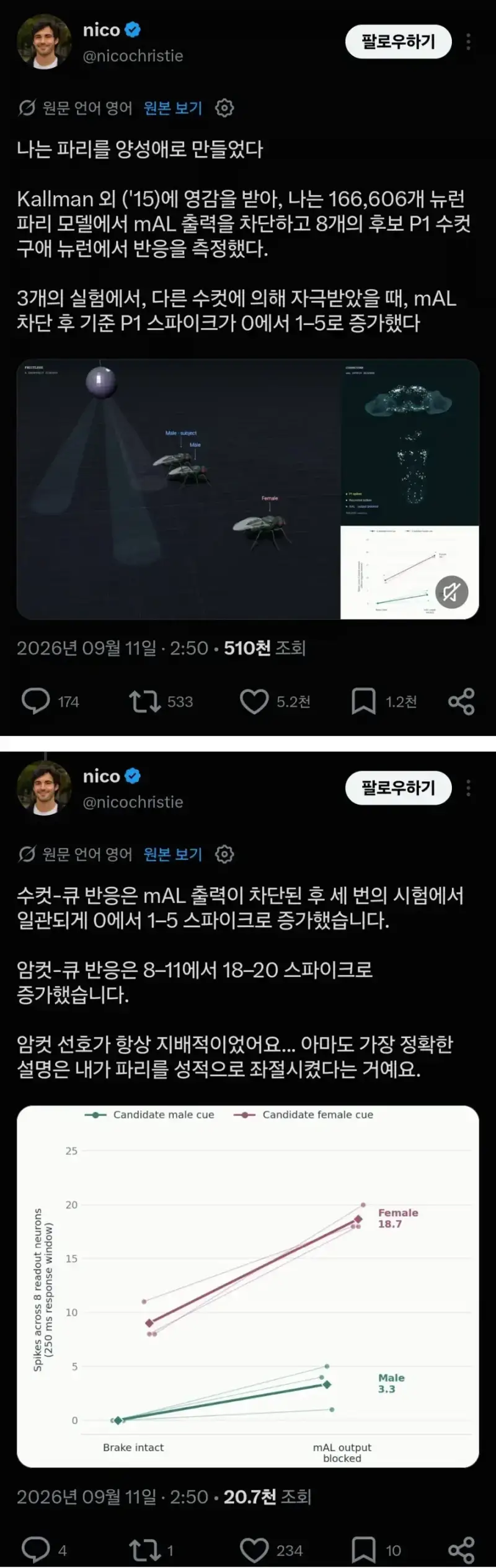 이성애자를 양성애자로 바꿔버림의 내용을 보여주는 이미지