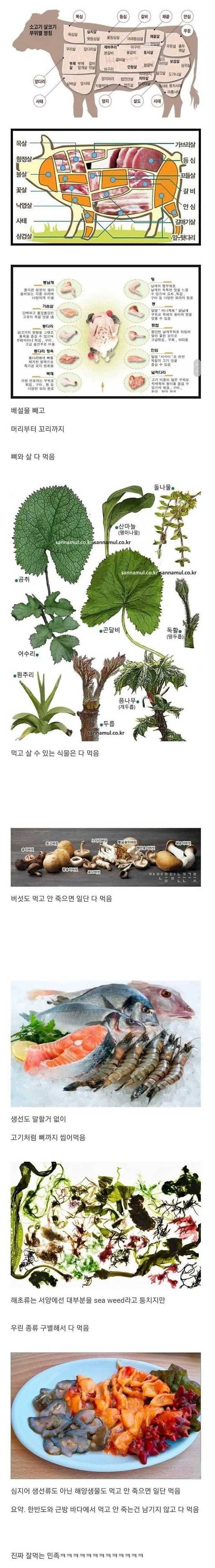 외국인들도 놀란다는 한국인의 식성의 내용을 보여주는 이미지