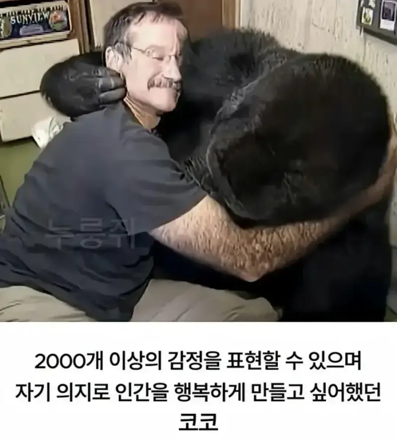 20260414170733_PQkqbq5ykF.webp